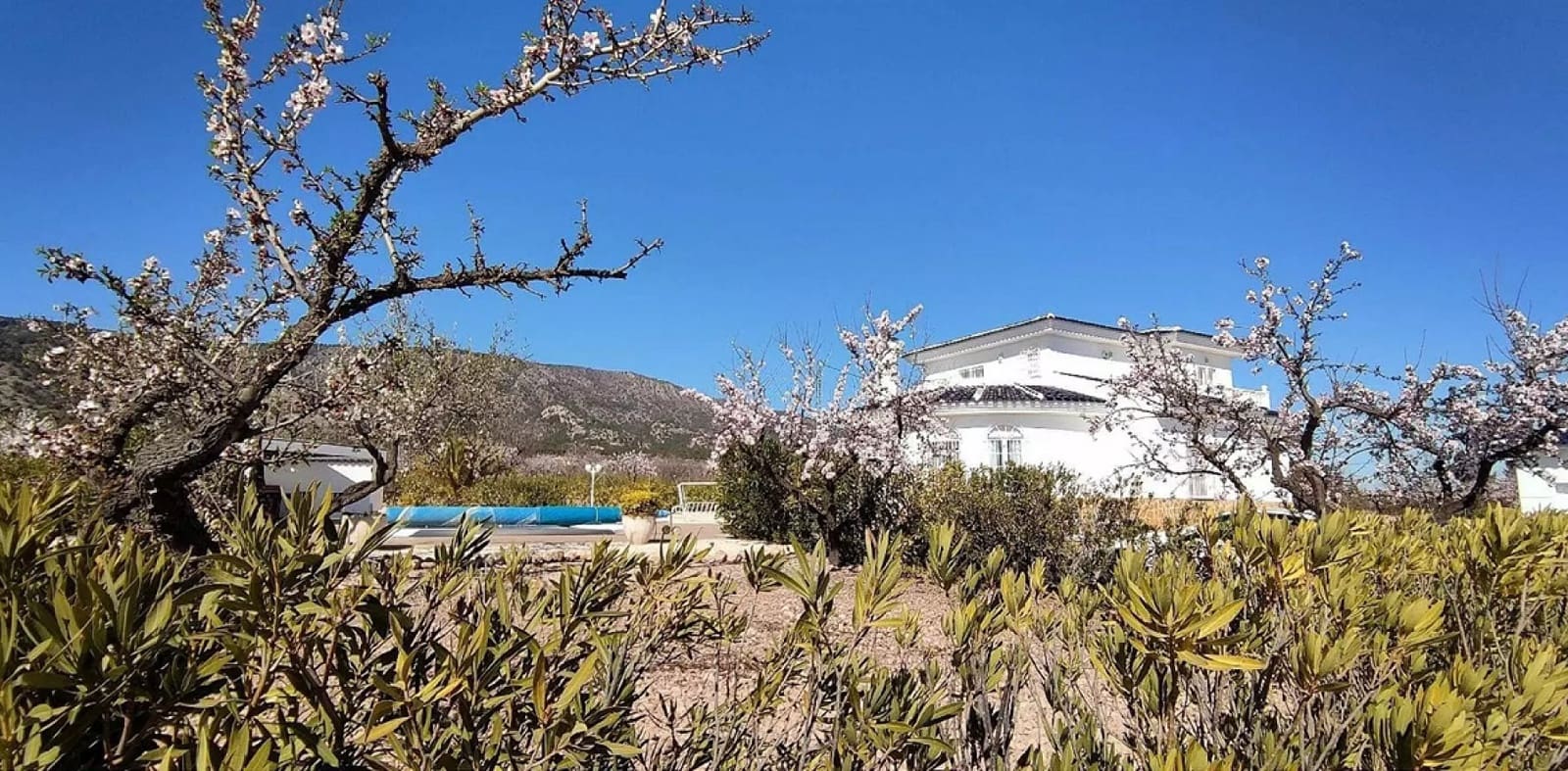 4 bedroom Villa for sale in Pinoso with pool garage - € 475,000 (Ref: 9299010)