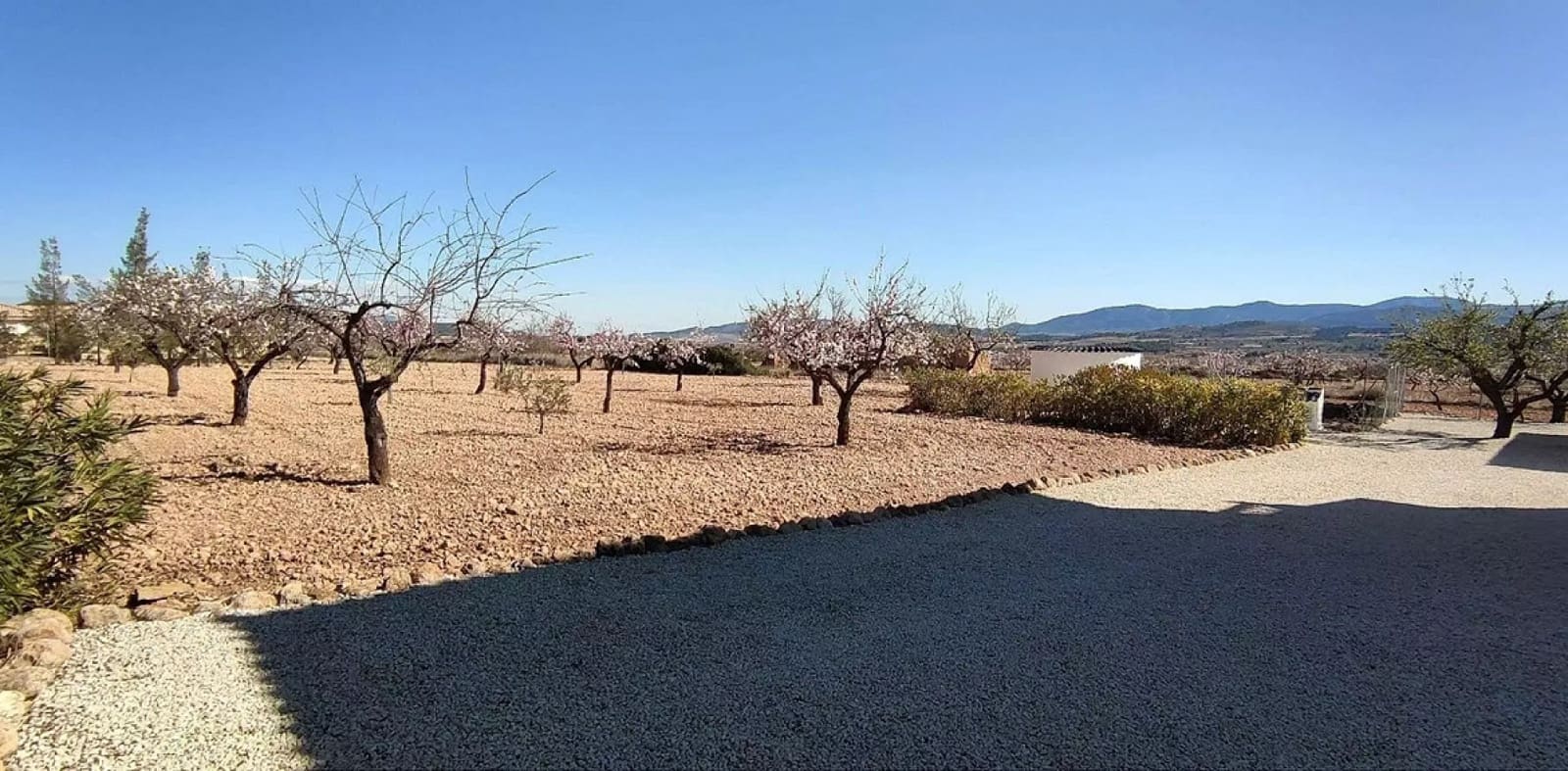 4 bedroom Villa for sale in Pinoso with pool garage - € 475,000 (Ref: 9299010)