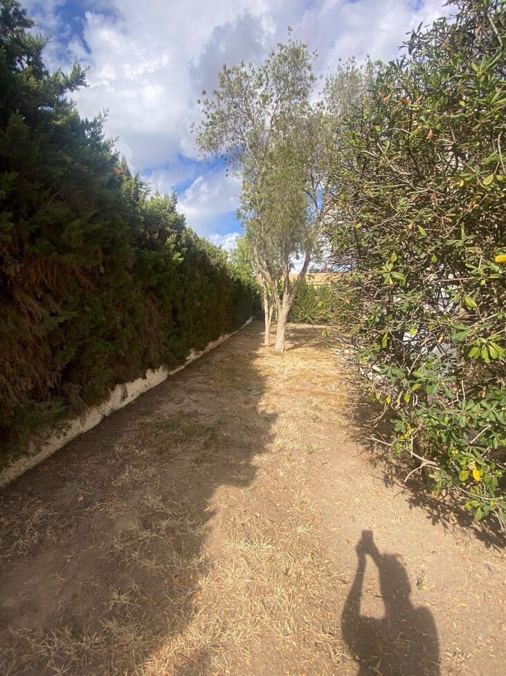 5 bedroom Villa for sale in Los Balcones with pool garage - € 350,000 (Ref: 9413041)