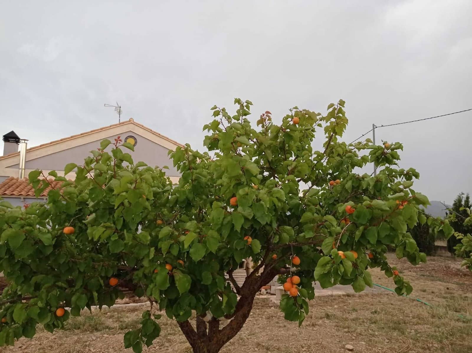 5 camera da letto Villa in vendita in Yecla con piscina garage - 360.000 € (Rif: 9445502)