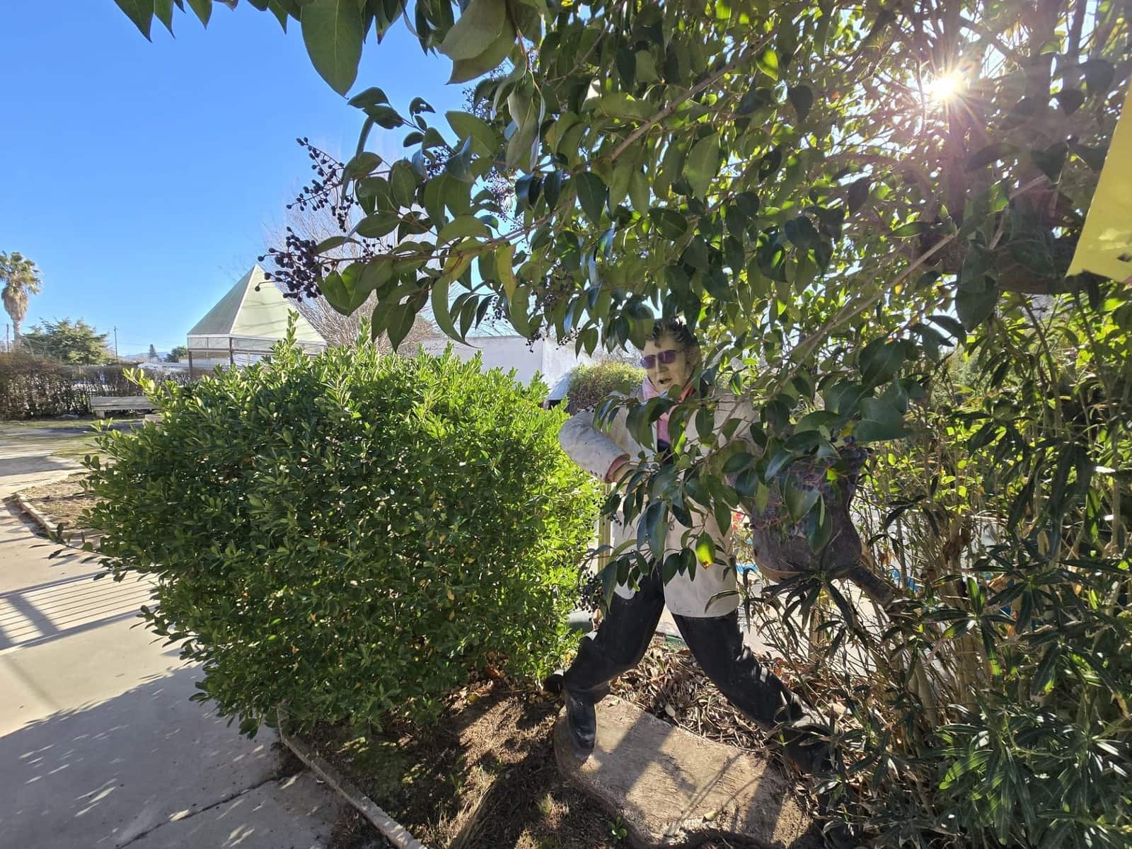 Chalet de 7 habitaciones en Villena en venta con piscina - 149.995 € (Ref: 9519389)