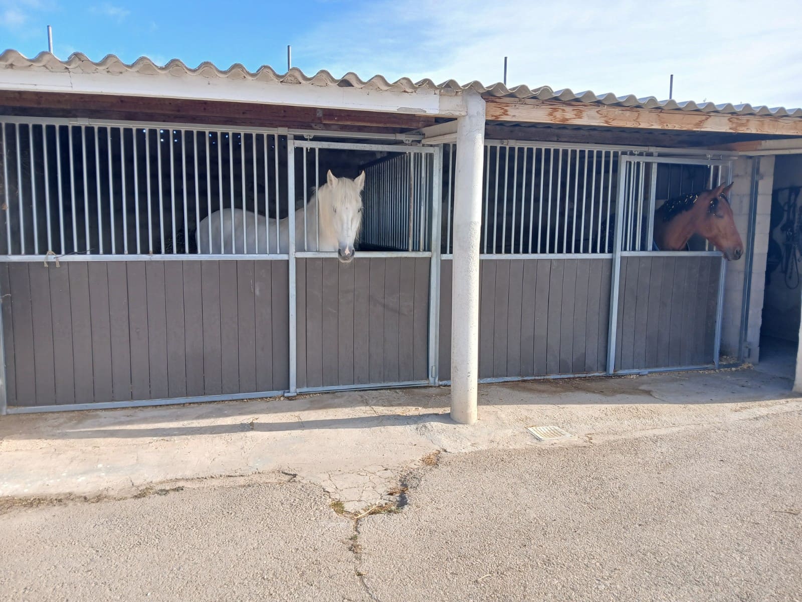 3 sovrum Finca/Hus på landet till salu i Monovar / Monover med pool garage - 200 000 € (Ref: 9523524)