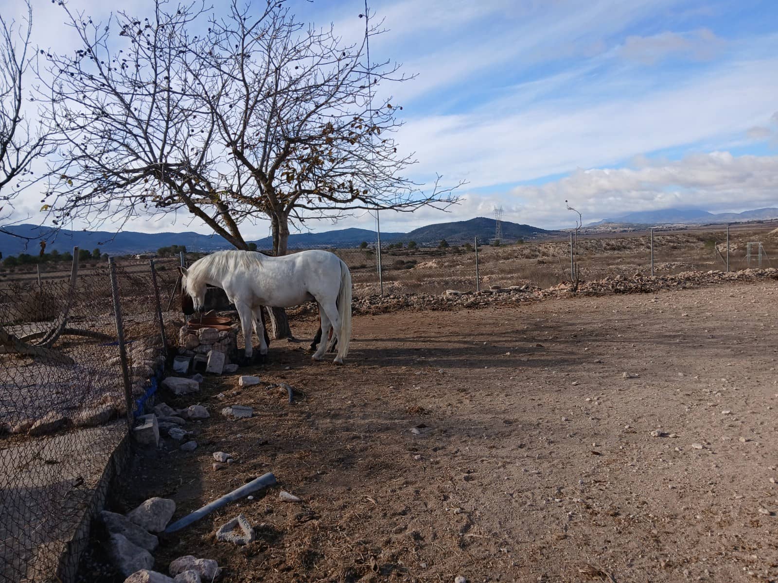 3 sovrum Finca/Hus på landet till salu i Monovar / Monover med pool garage - 200 000 € (Ref: 9523524)