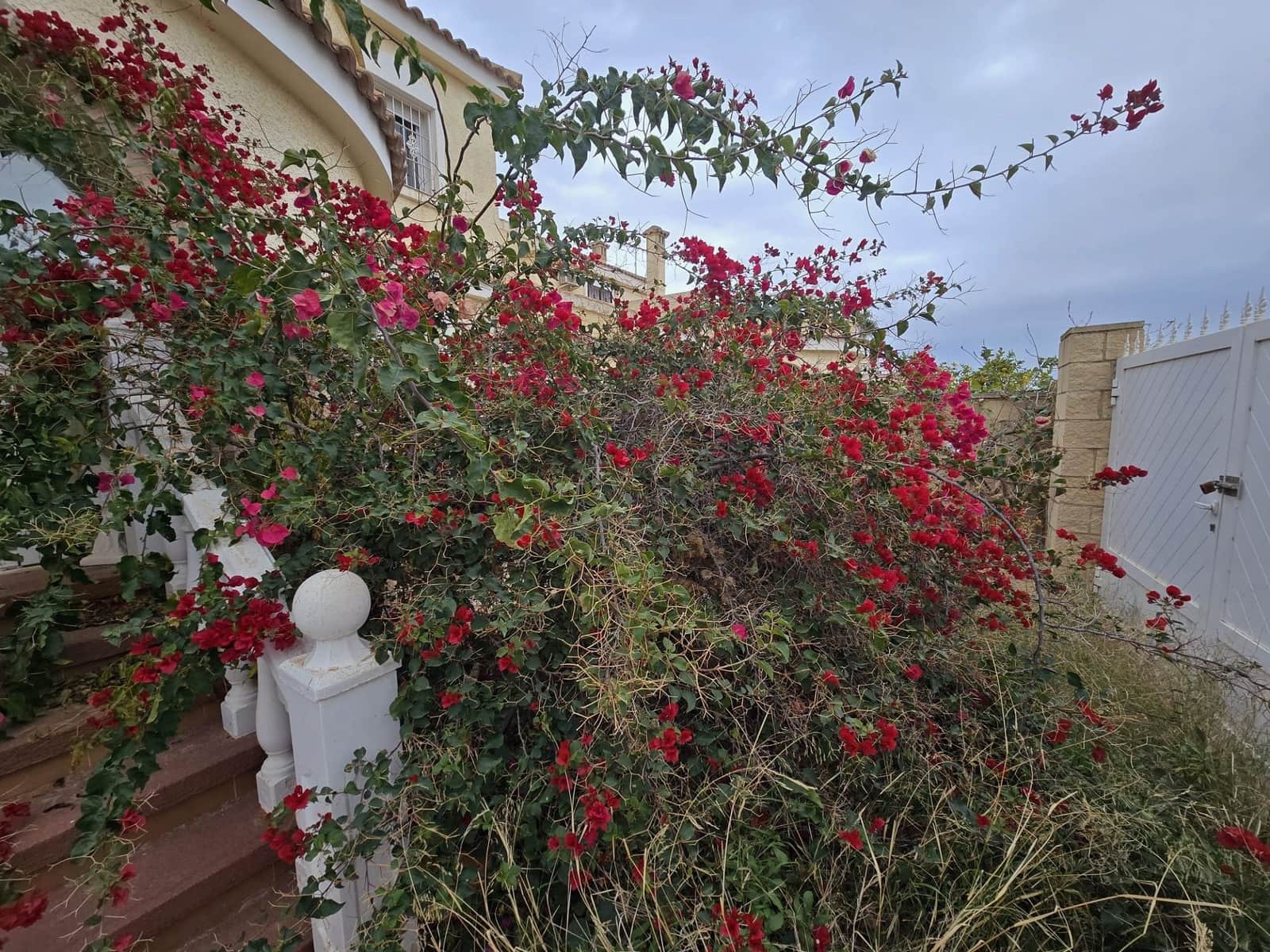 5 quarto Moradia para venda em Monforte del Cid com piscina - 350 000 € (Ref: 9523526)