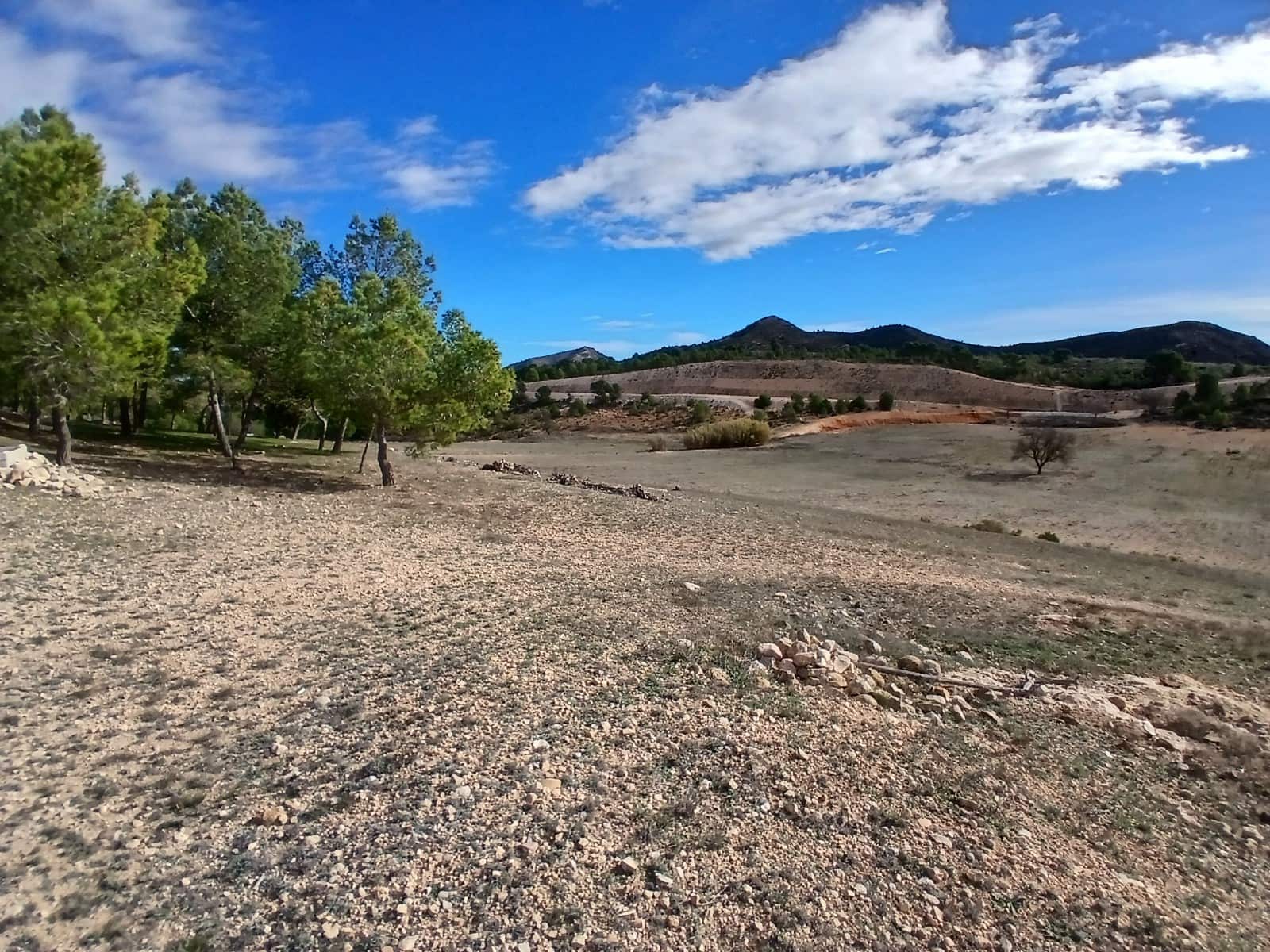 6 bedroom Finca/Country House for sale in Caudete with pool garage - € 199,950 (Ref: 9694321)