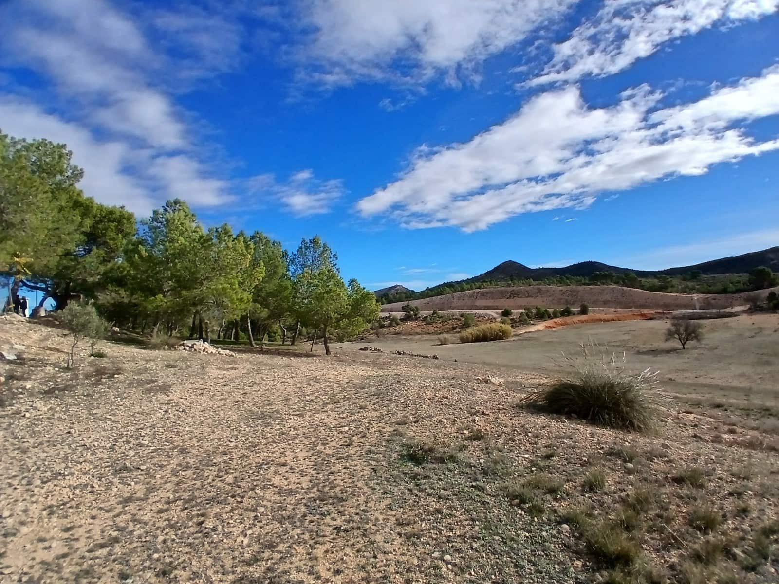 6 bedroom Finca/Country House for sale in Caudete with pool garage - € 199,950 (Ref: 9694321)