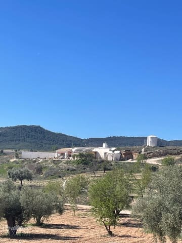 3 chambre Finca/Maison de Campagne à vendre à Pinoso - 135 995 € (Ref: 9731727)