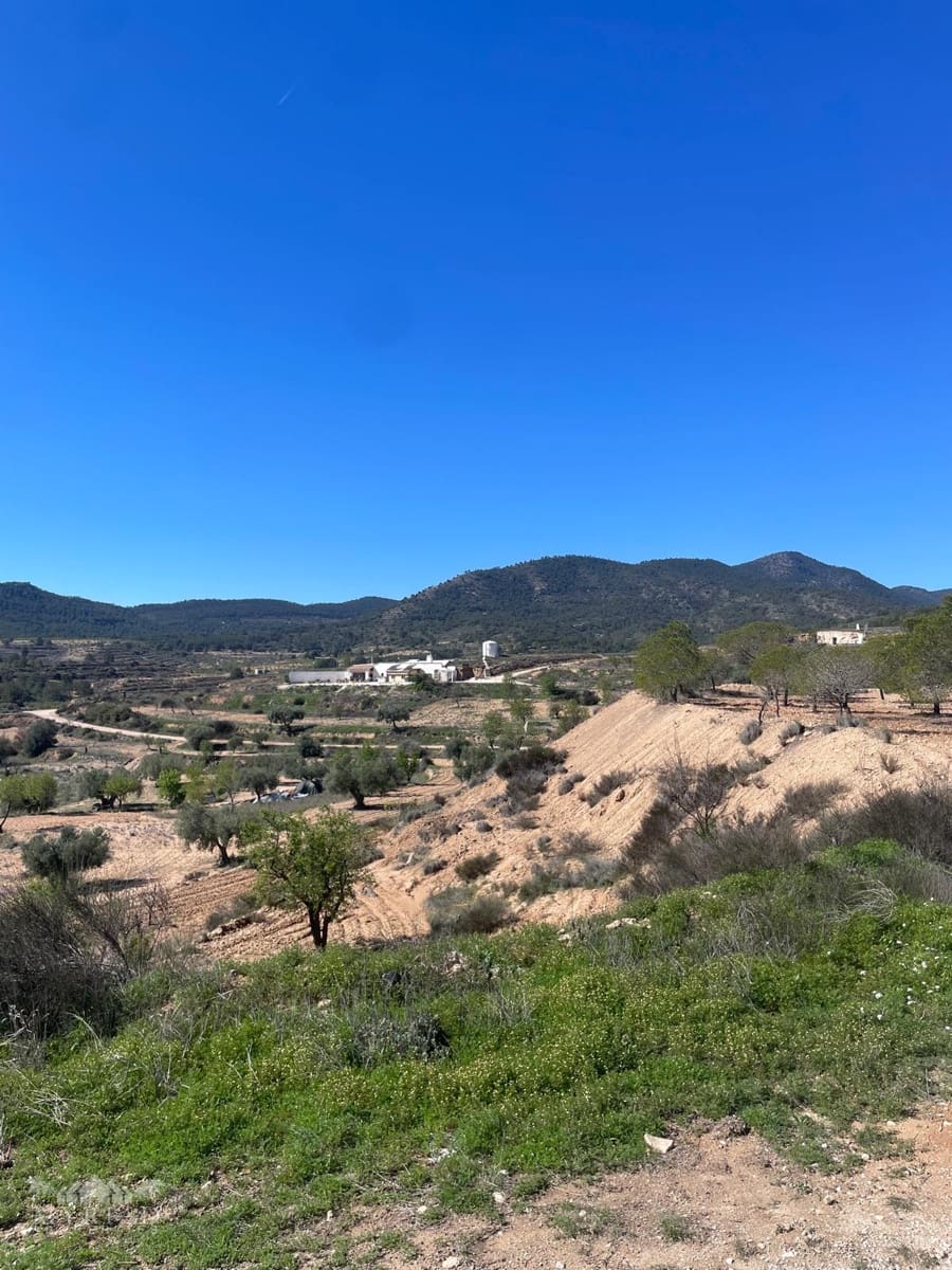 3 bedroom Finca/Country House for sale in Pinoso - € 135,995 (Ref: 9731727)