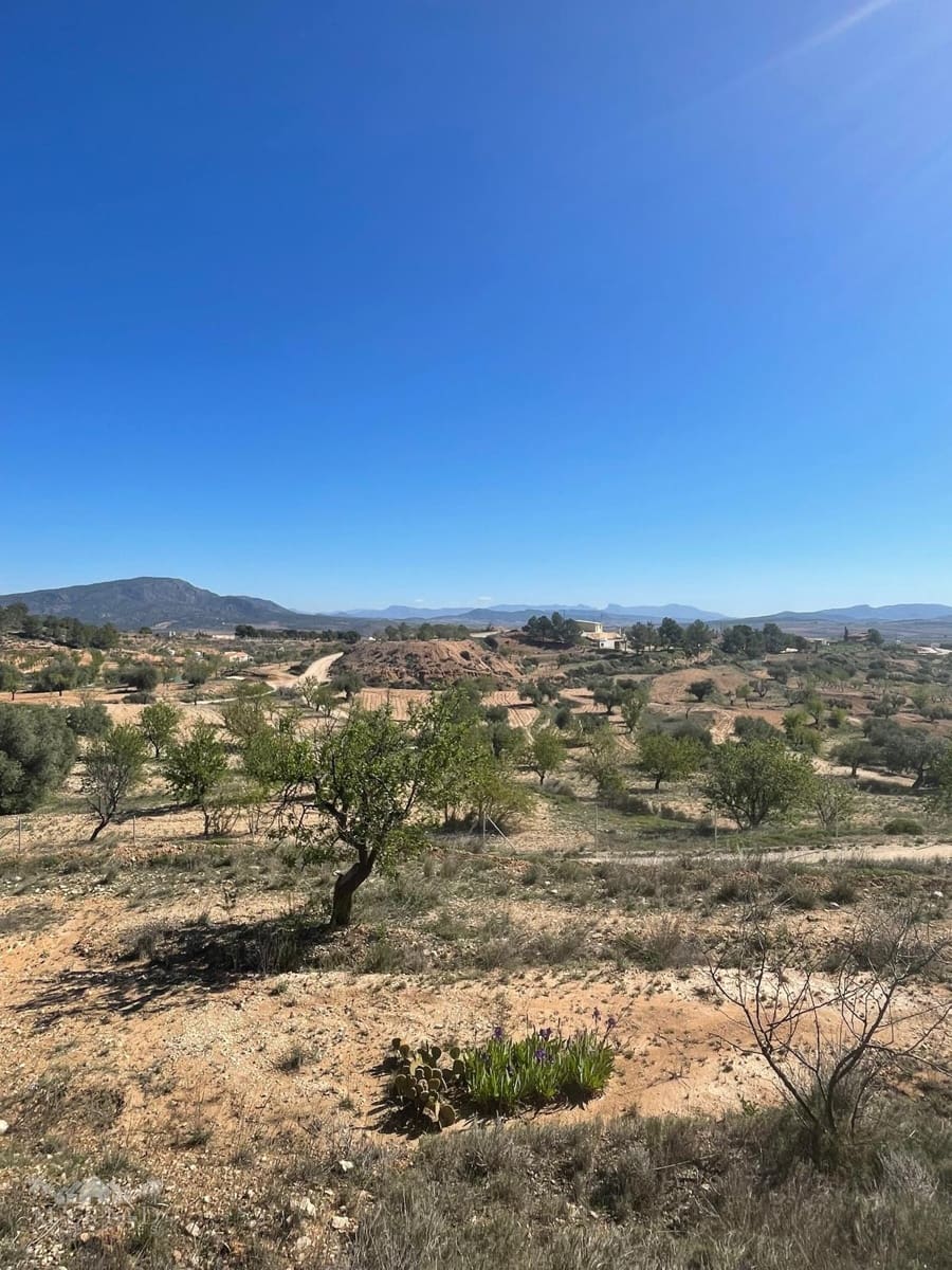 3 bedroom Finca/Country House for sale in Pinoso - € 135,995 (Ref: 9731727)