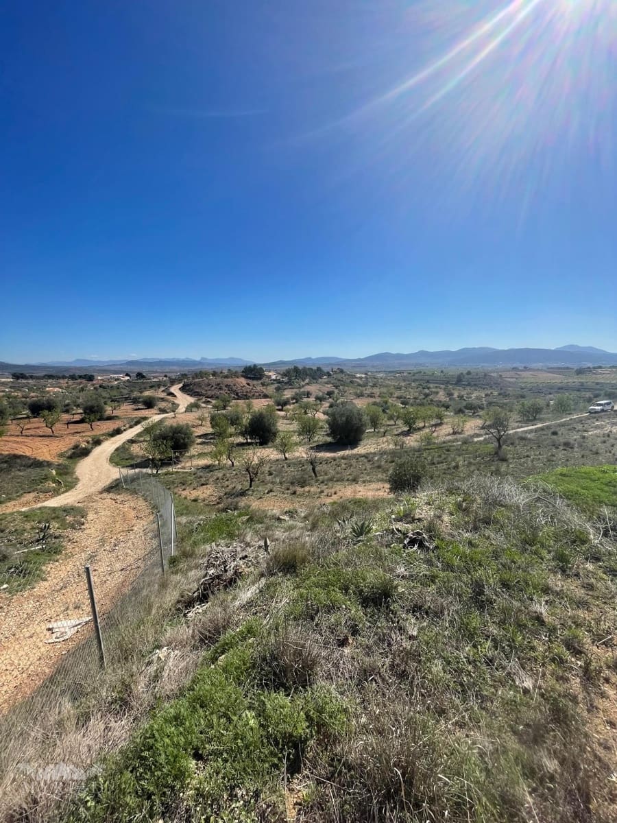 3 bedroom Finca/Country House for sale in Pinoso - € 135,995 (Ref: 9731727)