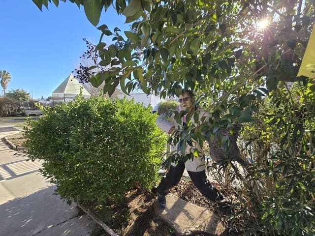 Chalet de 7 habitaciones en Villena en venta con piscina - 149.995 € (Ref: 9741466)