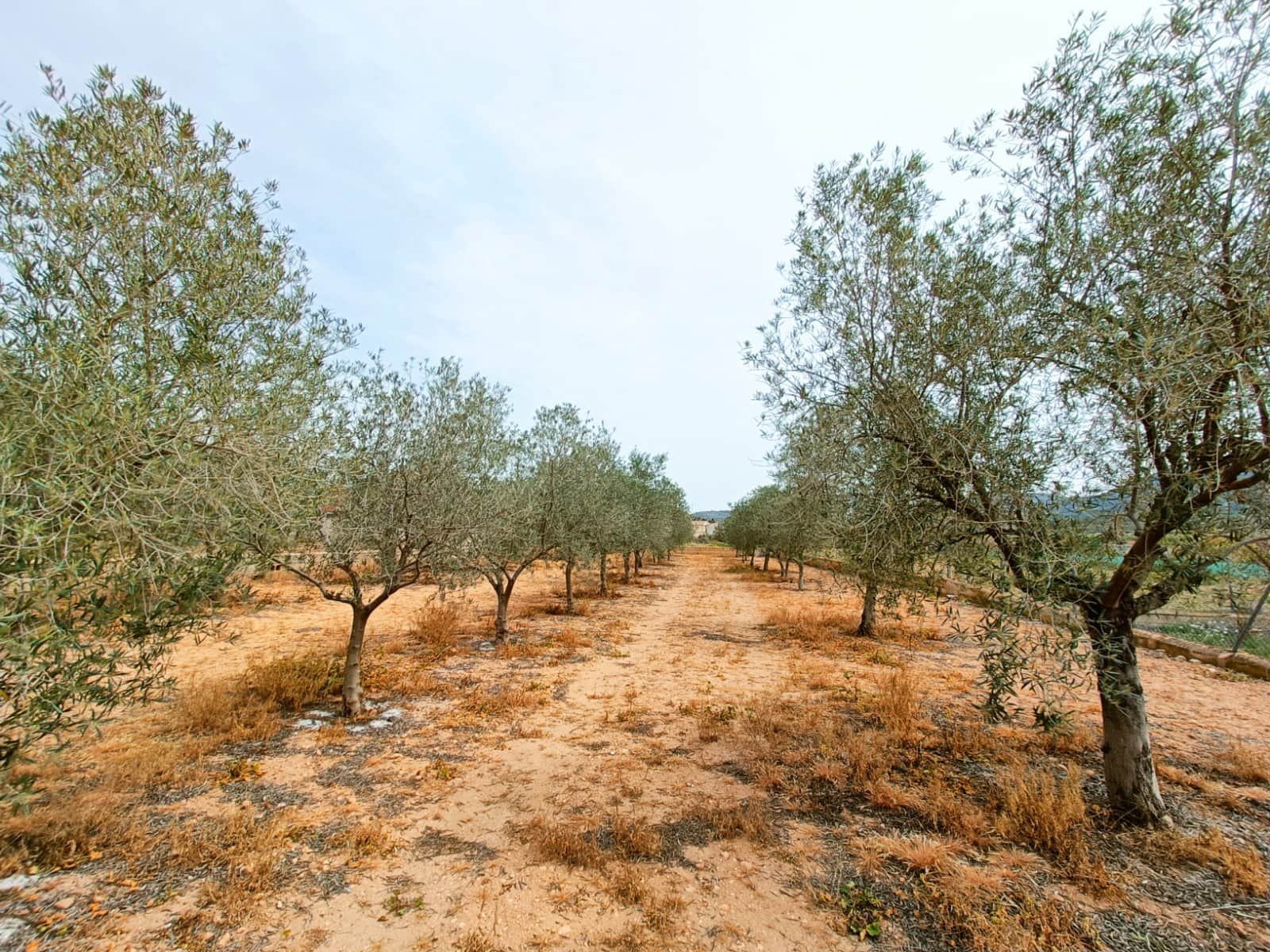 4 soveværelse Villa til salg i Hondon de los Frailes - € 180.000 (Ref: 9790019)