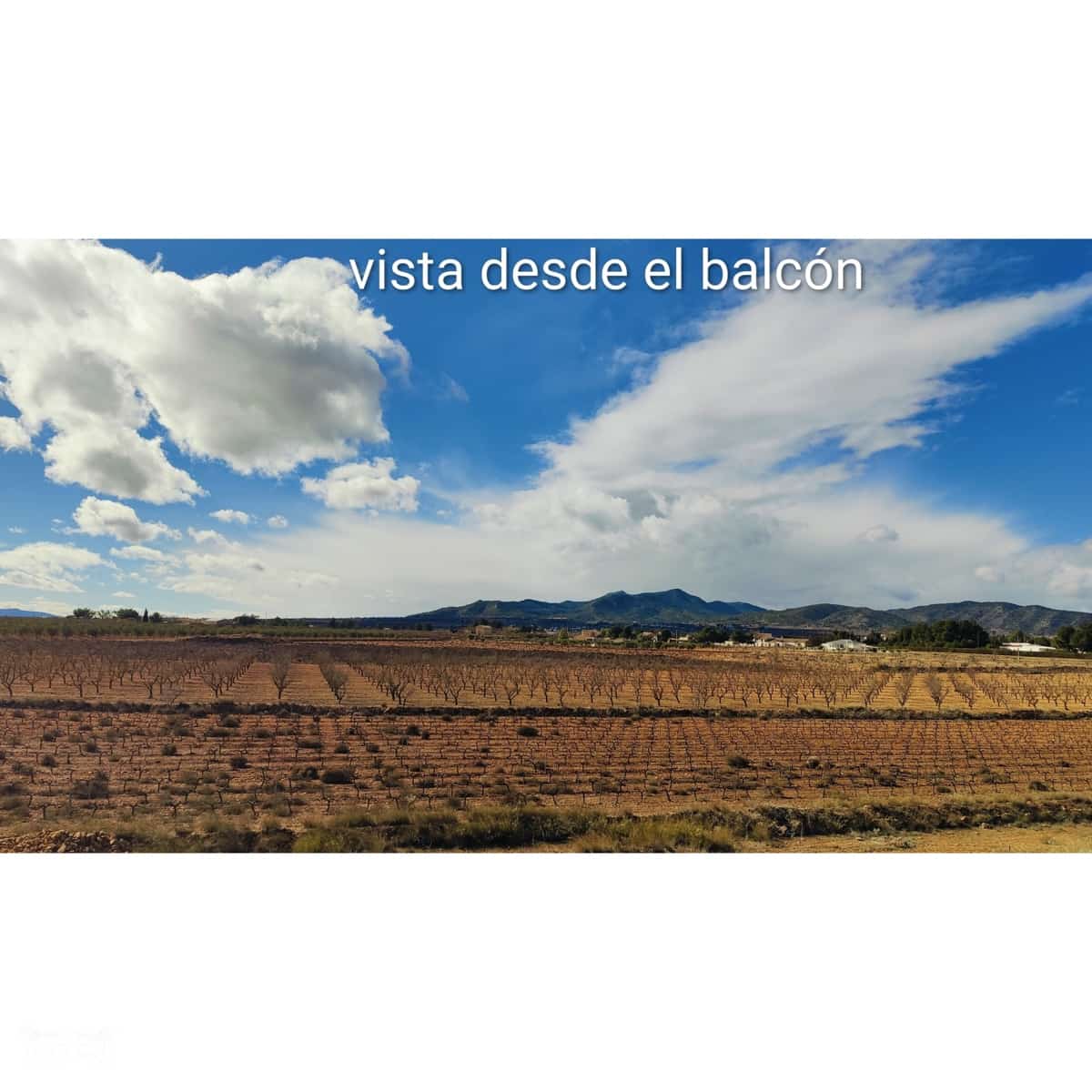 4 bedroom Villa for sale in Pinoso - € 210,000 (Ref: 9821735)