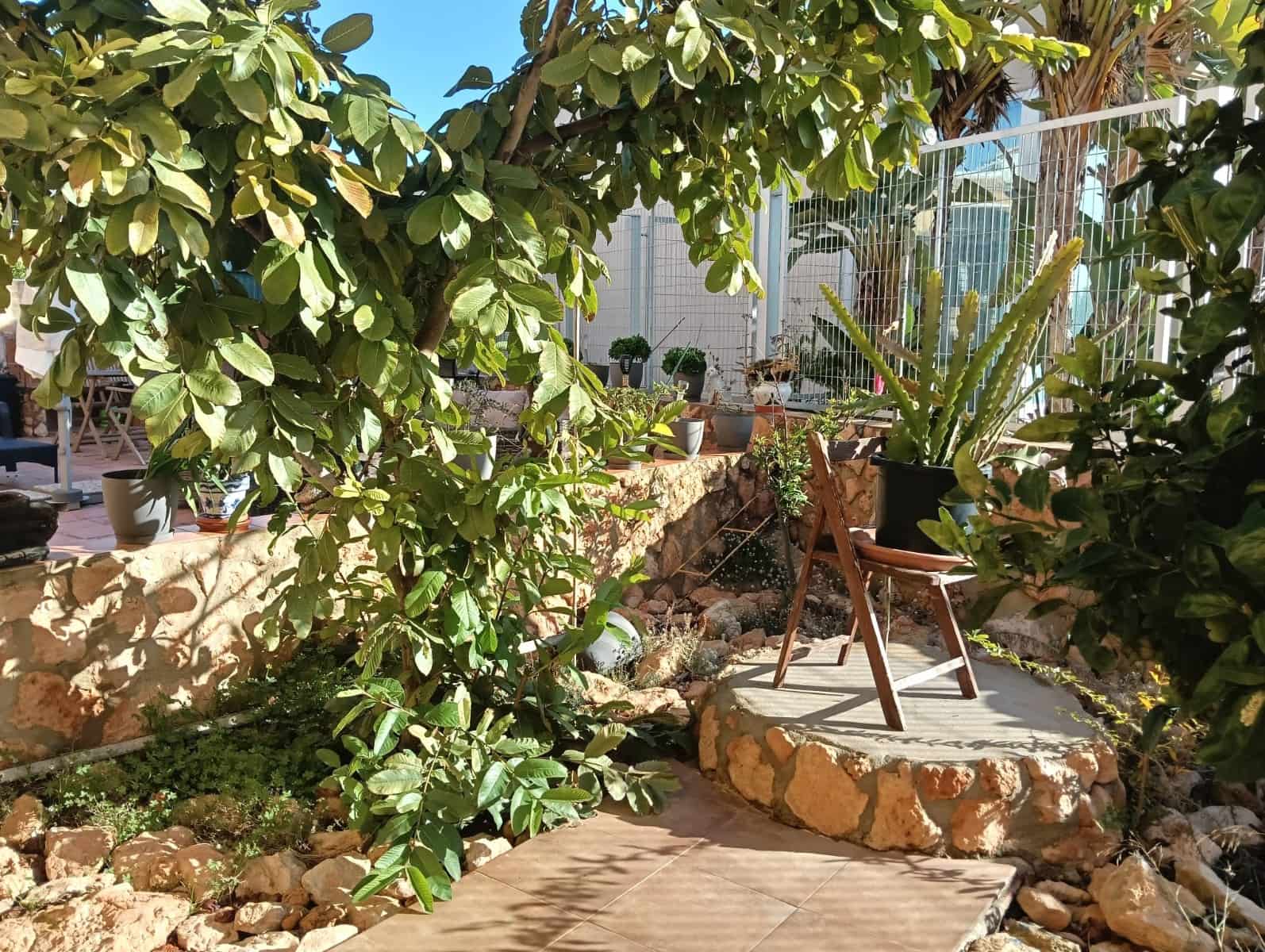2 bedroom Apartment for sale in Los Montesinos with pool - € 185,000 (Ref: 9831756)