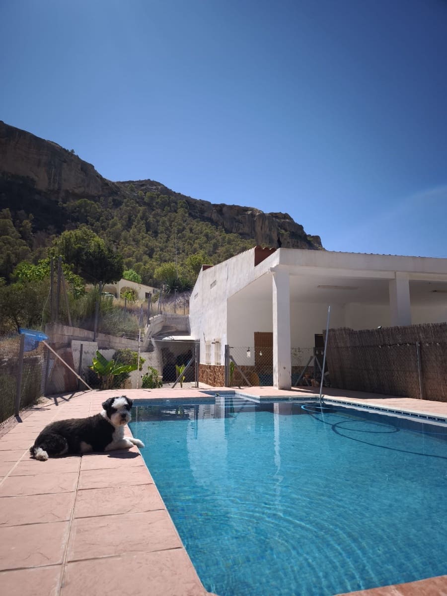 4 slaapkamer Finca/Landhuis te koop in Crevillente / Crevillent met zwembad garage - € 245.000 (Ref: 9902389)