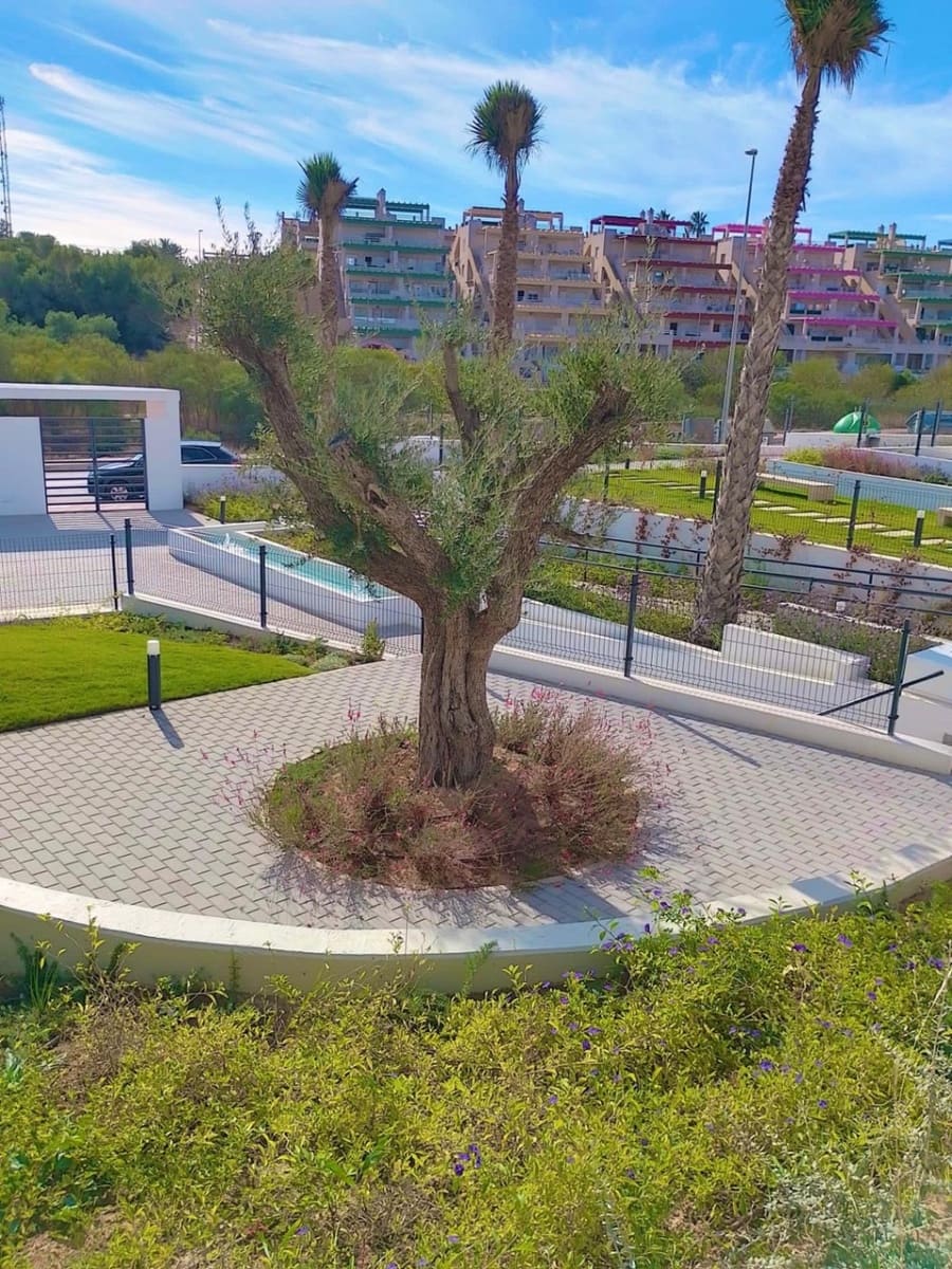 2 Zimmer Apartment zu verkaufen in Orihuela mit Pool Garage - 269.000 € (Ref: 9983954)