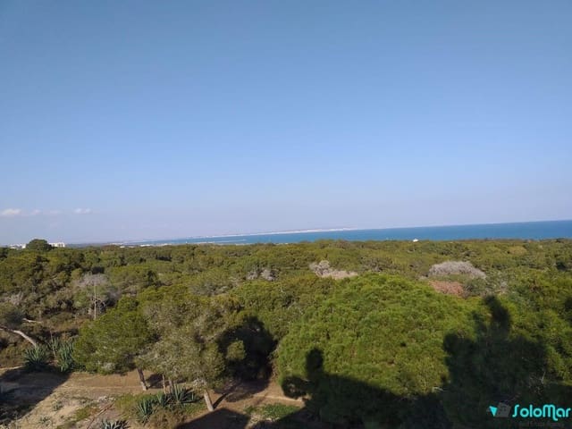 4 chambre Penthouse à vendre à Zona Pueblo, Guardamar del Segura avec piscine - 710 000 € (Ref: 7423129)