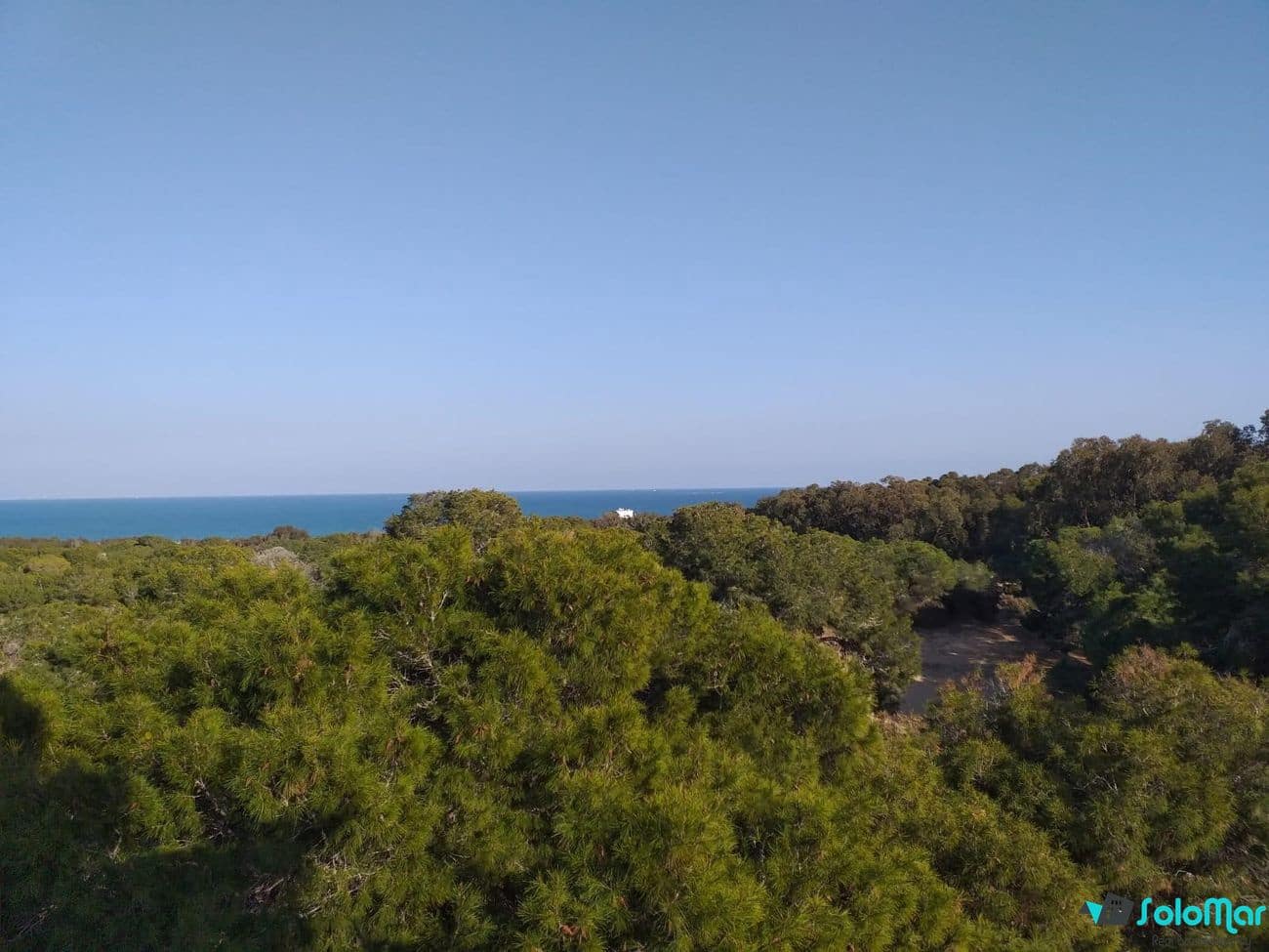 4 chambre Appartement à vendre à Guardamar del Segura avec piscine - 440 000 € (Ref: 7423130)