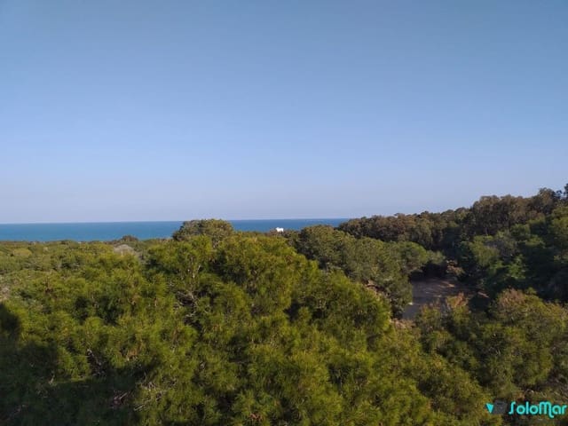 4 chambre Appartement à vendre à Zona Pueblo, Guardamar del Segura avec piscine - 440 000 € (Ref: 7423130)