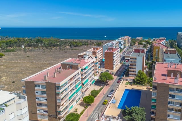 2 soverom Leilighet til salgs i Punta Prima, Torrevieja med svømmebasseng - € 155 000 (Ref: 10117511)