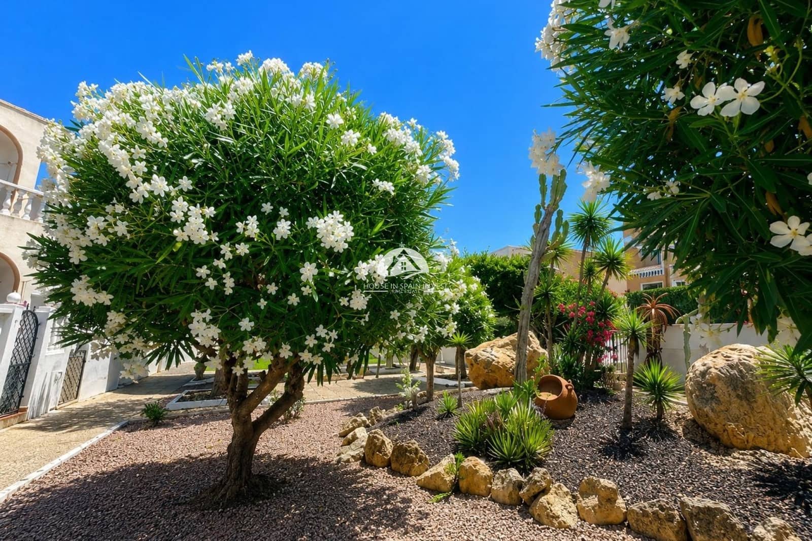 1 soverom Bungalow til salgs i La Mata - € 146 900 (Ref: 9955619)