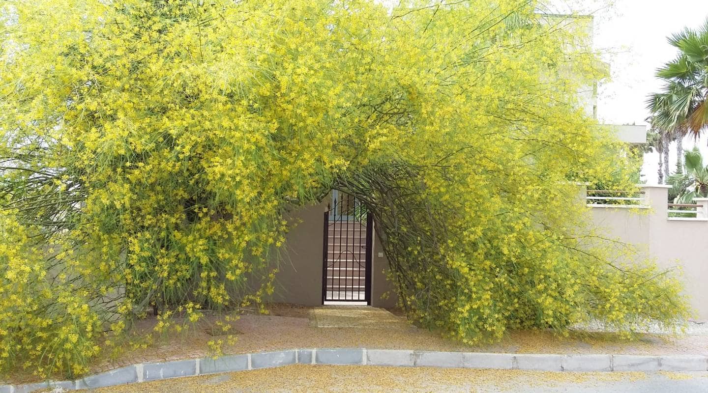 4 quarto Moradia para venda em Pueblo Bravo com piscina - 840 000 € (Ref: 8047774)