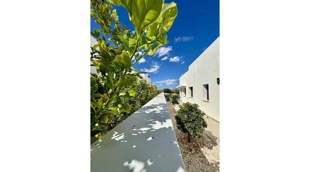 3 Zimmer Villa zu verkaufen in Benijófar mit Pool - 478.732 € (Ref: 8649118)