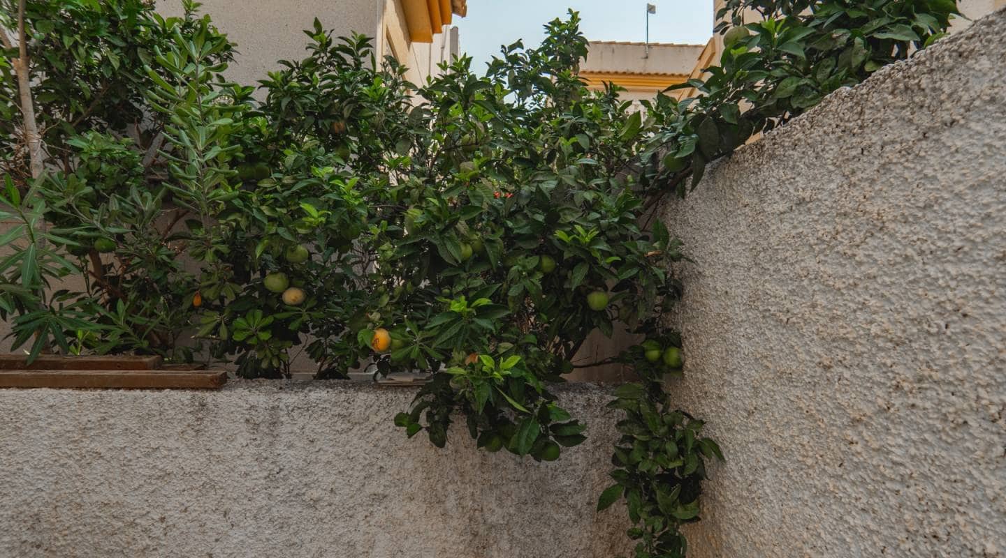 3 bedroom Villa for sale in Ciudad Quesada with pool - € 164,950 (Ref: 9289476)