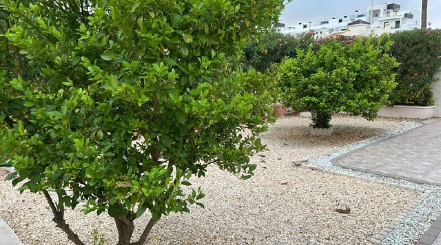 3 Zimmer Villa zu verkaufen in Villamartin mit Pool - 369.000 € (Ref: 9311214)