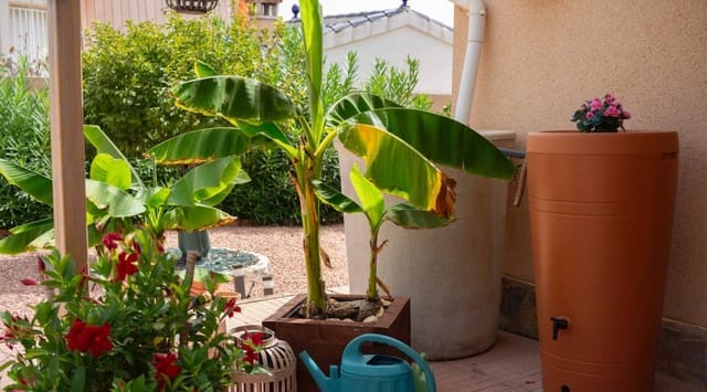 3 camera da letto Villa in vendita in Ciudad Quesada, Rojales con piscina - 449.950 € (Rif: 9311538)