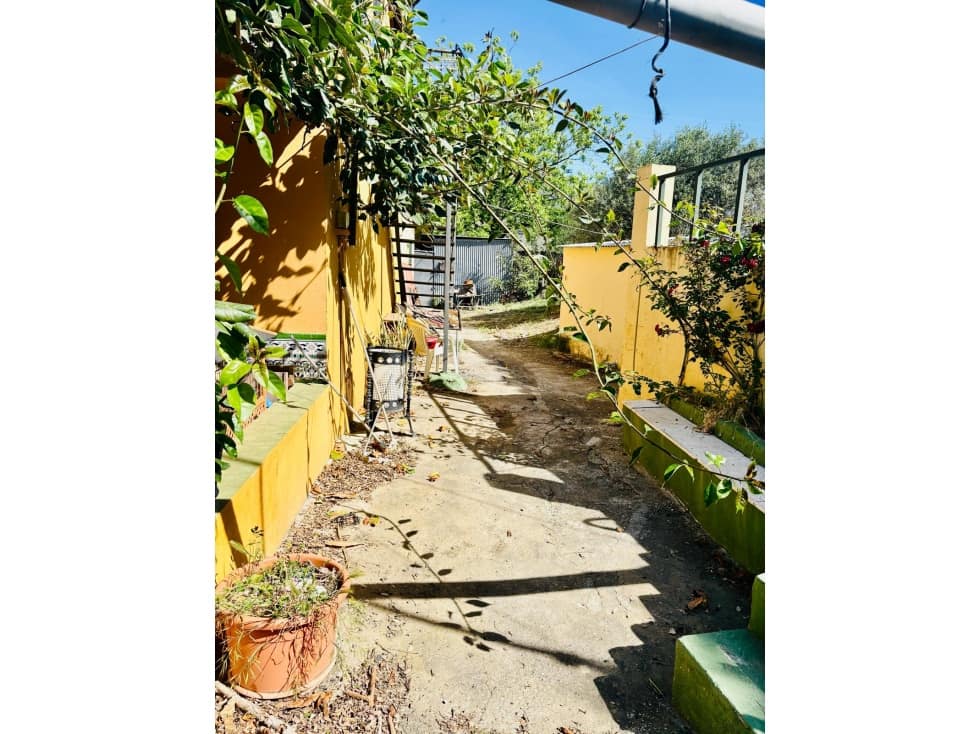 Mark till salu i Estepona - 1 800 000 € (Ref: 10078965)