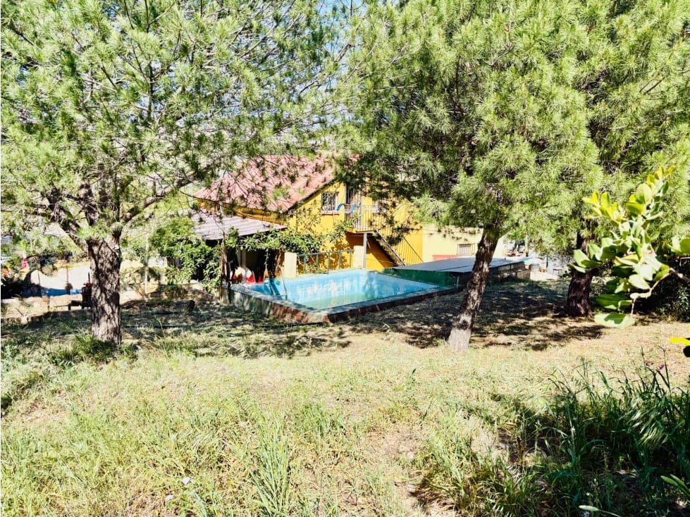 Mark till salu i Estepona - 1 800 000 € (Ref: 10078965)