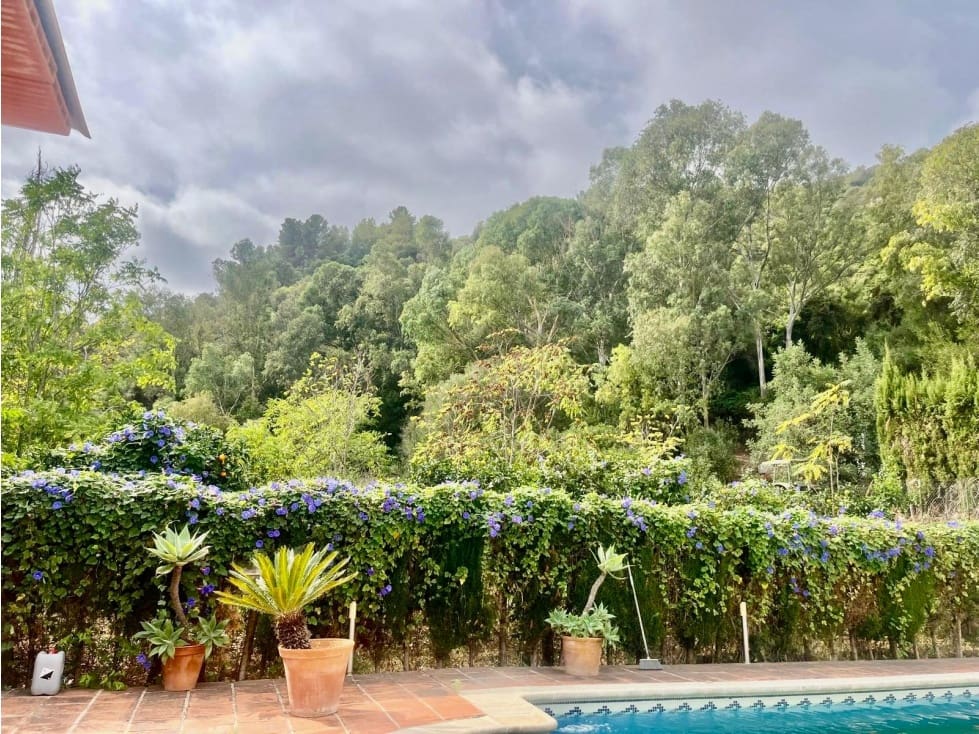 2 sovrum Finca/Hus på landet att hyra i Casares med pool - 2 500 € (Ref: 10156942)
