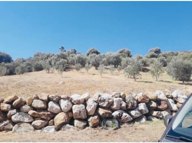 Teren niezagospodarowany na sprzedaż w Estepona - 900 000 € (Ref: 6062146)