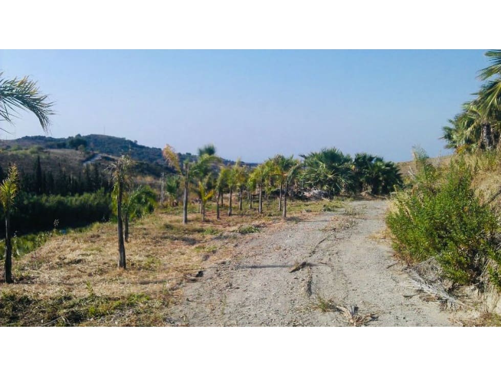 Teren niezagospodarowany na sprzedaż w Estepona - 900 000 € (Ref: 6062146)