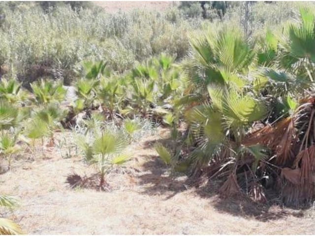 Teren niezagospodarowany na sprzedaż w Estepona - 900 000 € (Ref: 6062146)
