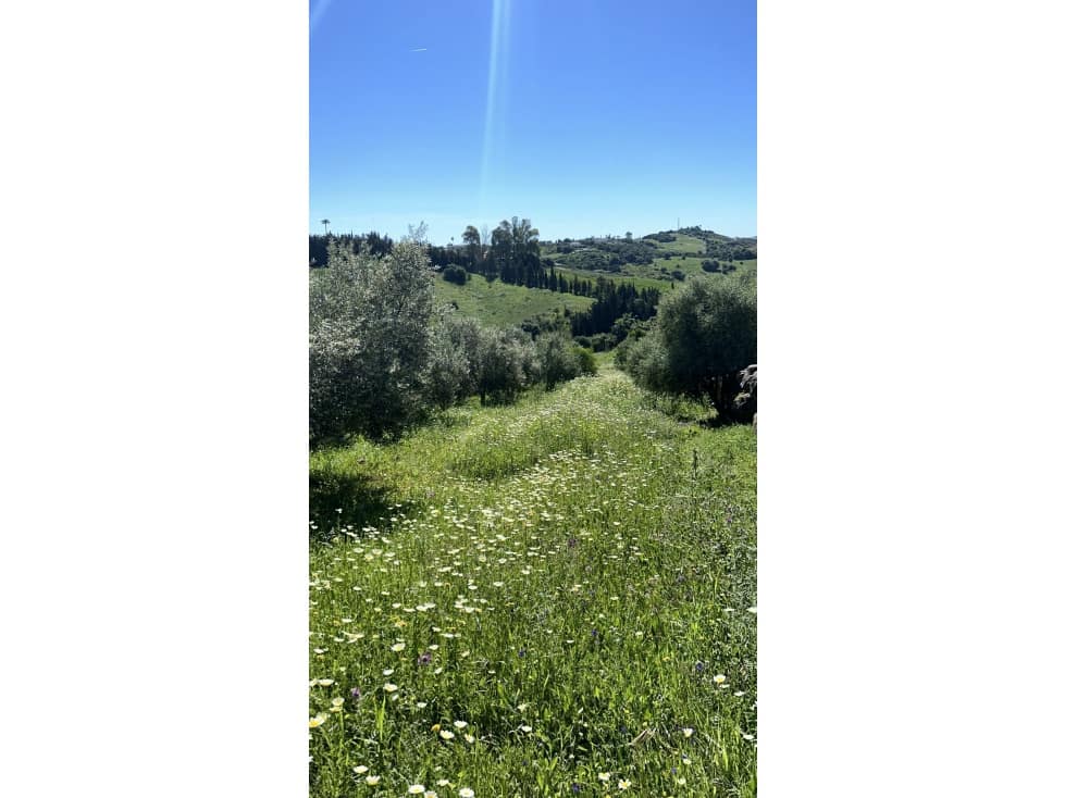 Terreno Non Edificato in vendita in Estepona - 900.000 € (Rif: 6062146)
