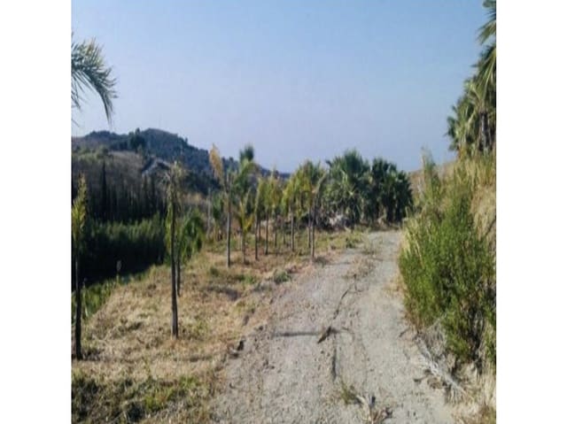 Terreno Non Edificato in vendita in Estepona - 900.000 € (Rif: 6062146)