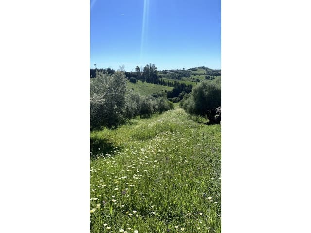 Terreno Non Edificato in vendita in Estepona - 900.000 € (Rif: 6062146)