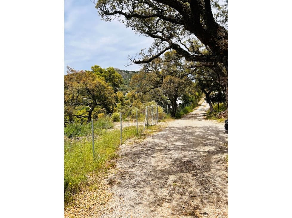 5 chambre Villa/Maison à vendre à Casares avec piscine - 1 645 000 € (Ref: 8287222)