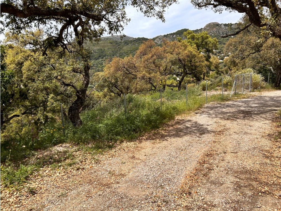 5 chambre Villa/Maison à vendre à Casares avec piscine - 1 645 000 € (Ref: 8287222)
