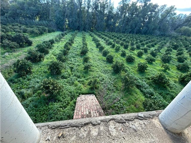 5 slaapkamer Finca/Landhuis te koop in San Martin del Tesorillo - € 350.000 (Ref: 8777749)