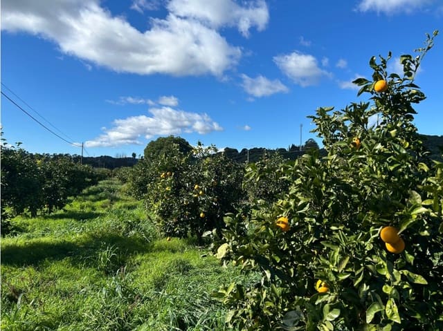 5 slaapkamer Finca/Landhuis te koop in San Martin del Tesorillo - € 350.000 (Ref: 8777749)