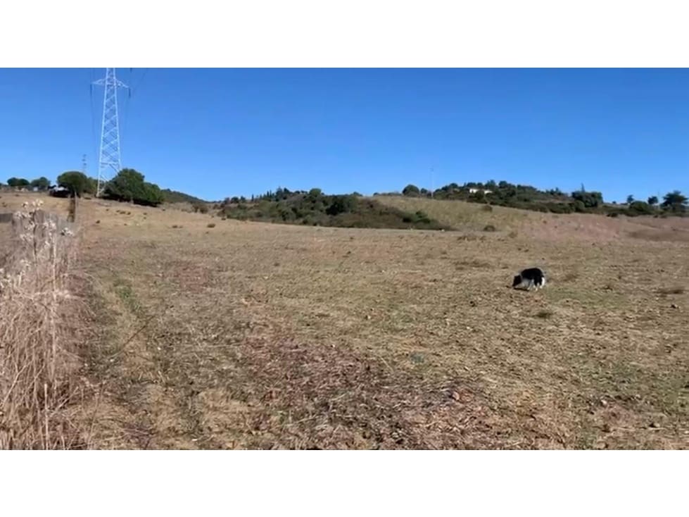 Terreno/Finca Rústica en San Martin del Tesorillo en venta - 630.000 € (Ref: 8783458)