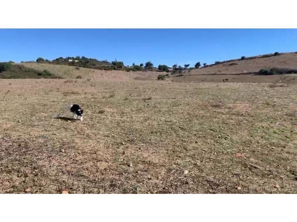 Terreno/Finca Rústica en San Martin del Tesorillo en venta - 630.000 € (Ref: 8783458)