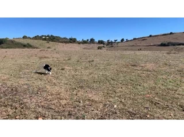 Grunde uden byggetilladelser til salg i San Martin del Tesorillo - € 630.000 (Ref: 8783458)