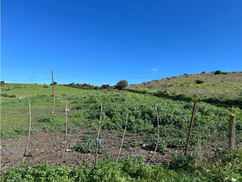 Terreno/Finca Rústica en San Martin del Tesorillo en venta - 630.000 € (Ref: 8783458)