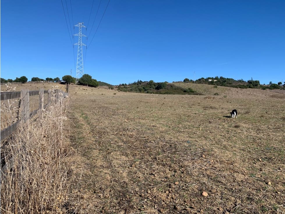 Terreno/Finca Rústica en San Martin del Tesorillo en venta - 630.000 € (Ref: 8783458)