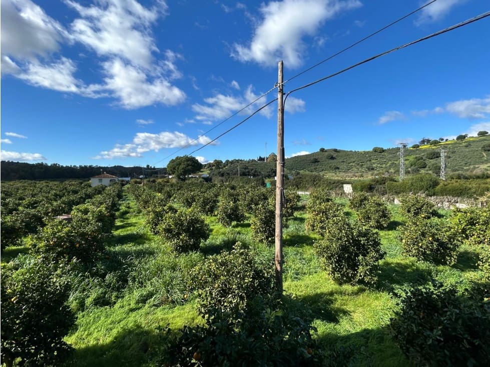 5 camera da letto Finca/Casa di Campagna in vendita in San Martin del Tesorillo - 350.000 € (Rif: 9339210)