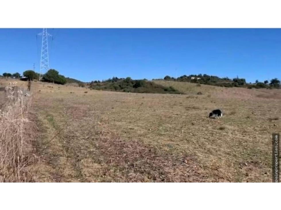 Finca/Casa di Campagna in vendita in San Martin del Tesorillo - 630.000 € (Rif: 9356478)